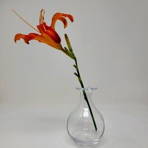 Elegant Kate Spade Sweet Pea Crystal Posy Vase